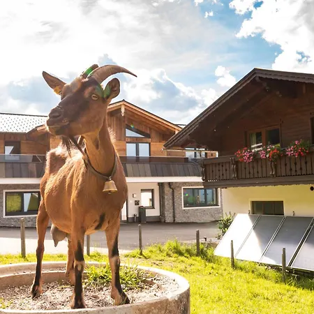 Bucheggerhof Tatil Evi Schladming